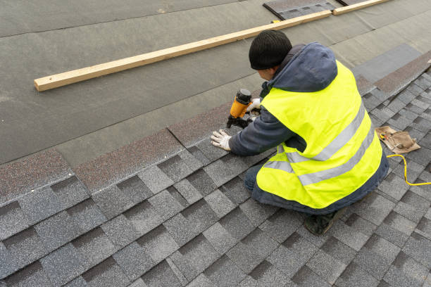 Best Local Roofing Companies  in Cartervle, IL