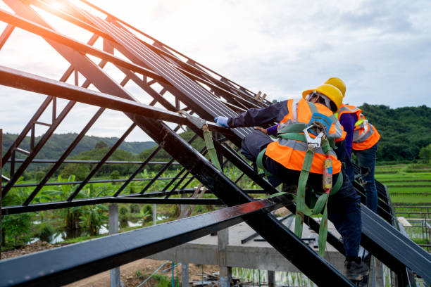 Best Roof Gutter Cleaning  in Cartervle, IL