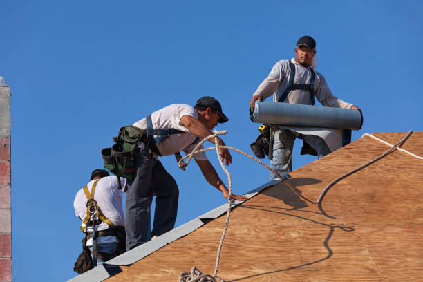 Best Residential Roofing Contractor  in Cartervle, IL