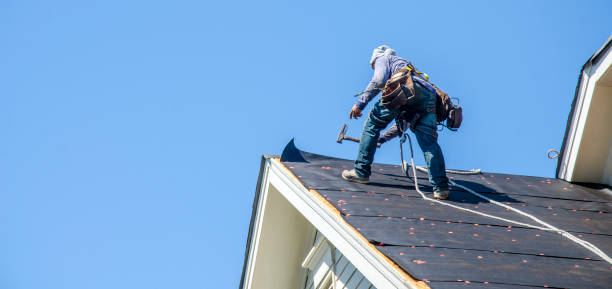 Best Roof Restoration Services  in Cartervle, IL